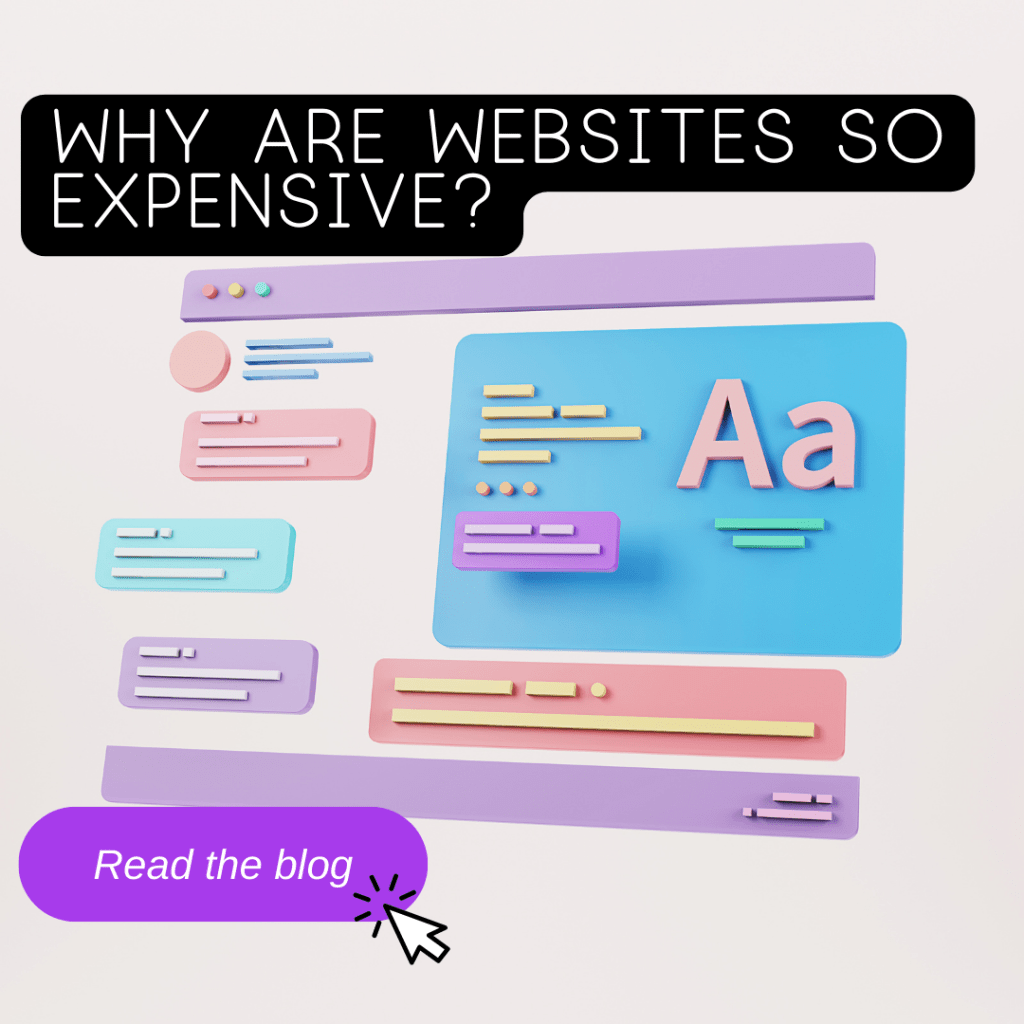 what makes a website so expensive