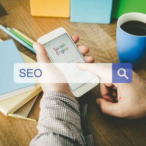 search query asking what is search engine optimization
